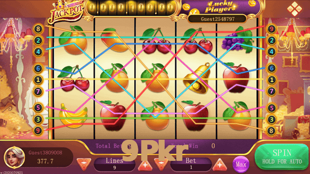 9Pkr interface sample